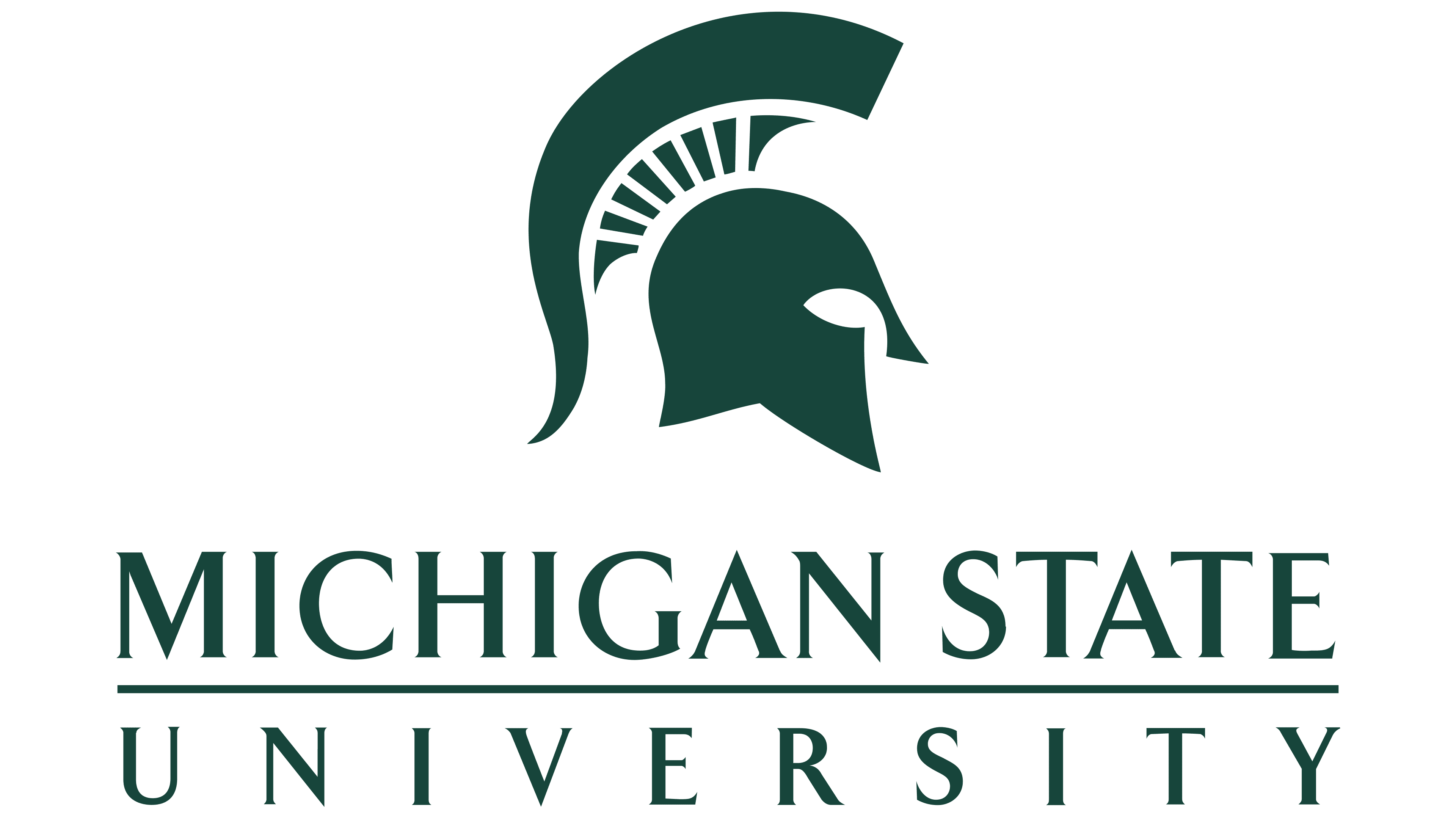 msu.edu